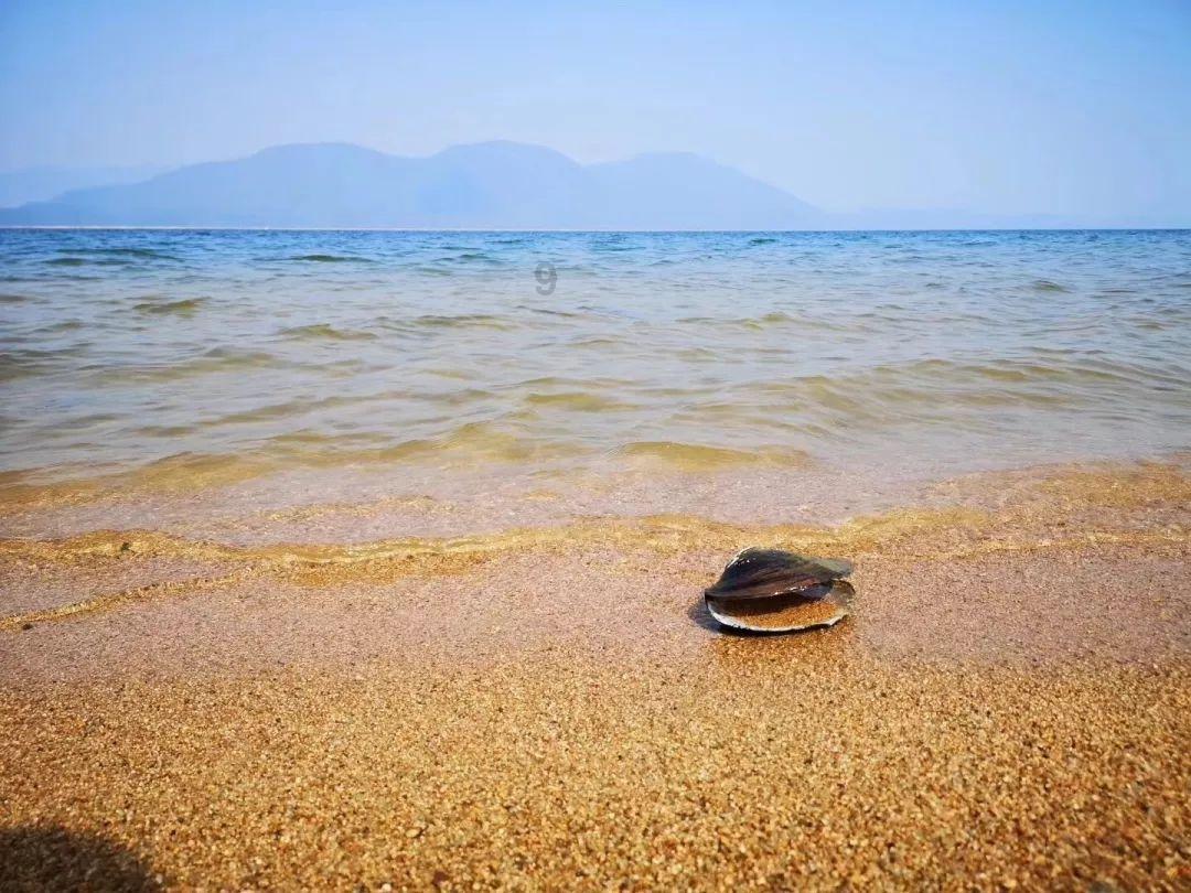 雷达超声波双波测流流量计