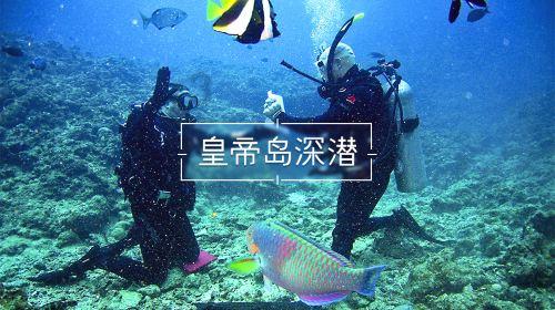 俄罗斯小怪