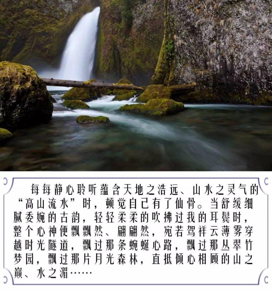 功夫熊猫