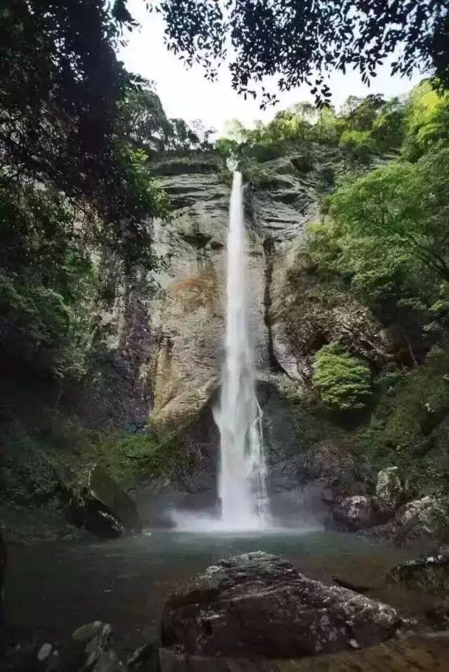 移动的靶心5无敌版