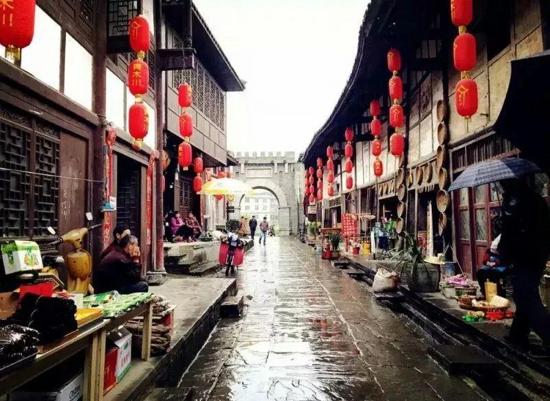 救援小巨鳄